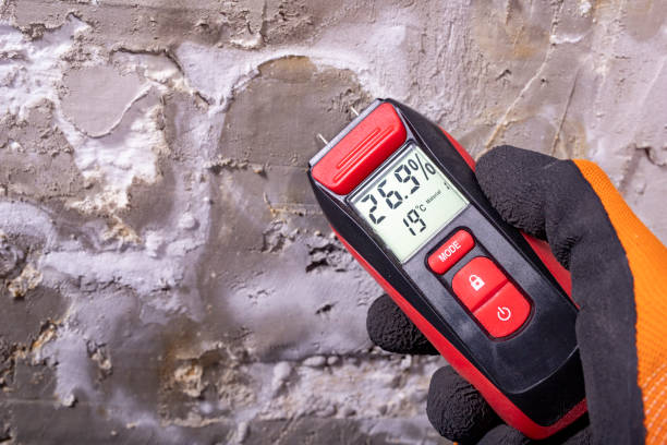 Best Mold Testing  in Franconia, VA