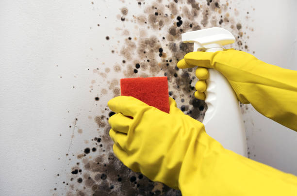 Water Damage Restoration in Franconia, VA